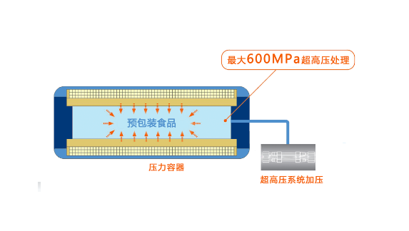 图片 1(1).png