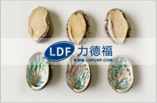 力德福科技｜HPP高压杀菌机给鲍鱼保鲜带来大改变