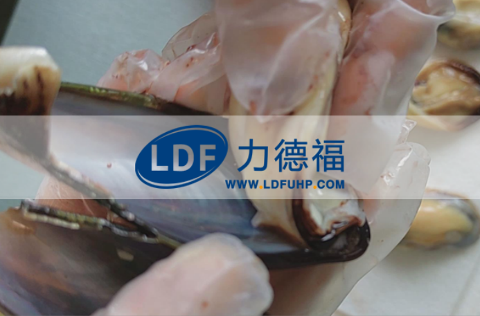 力德福科技｜HPP超高压设备为贻贝产业带来多重革新